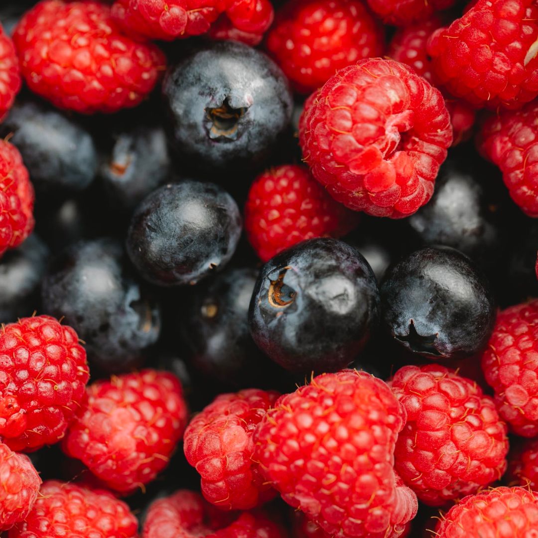 Berry Picking Farms Near Essex County - Montclair Girl