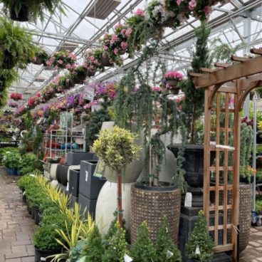 Must-Visit Garden + Plant Shops in North Jersey - Montclair Girl