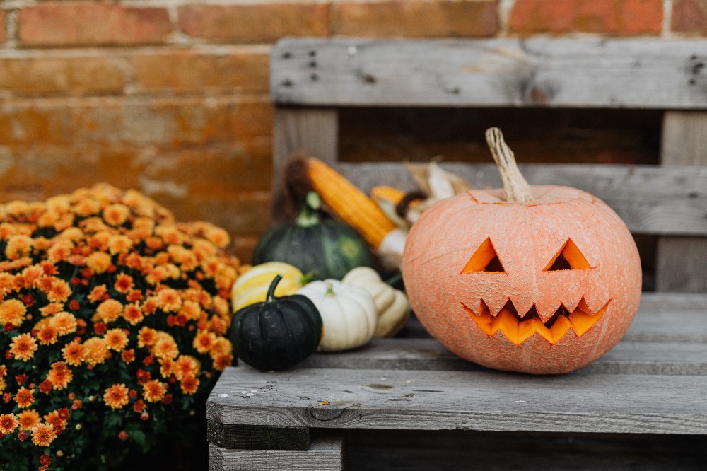 83 Things to Do in the Montclair + North Jersey Area Halloween