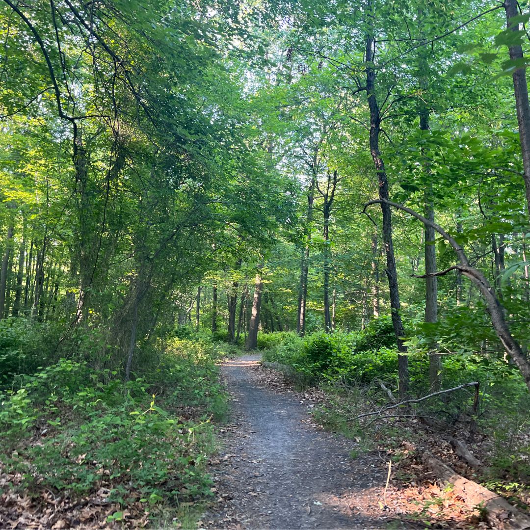 Eagle Rock Reservation: The Essex County Park With Historic Roots ...