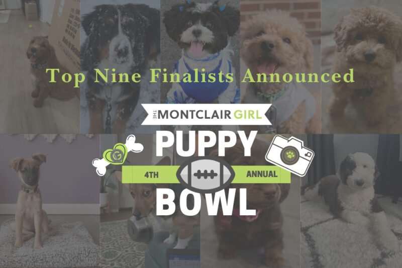 mg puppy bowl